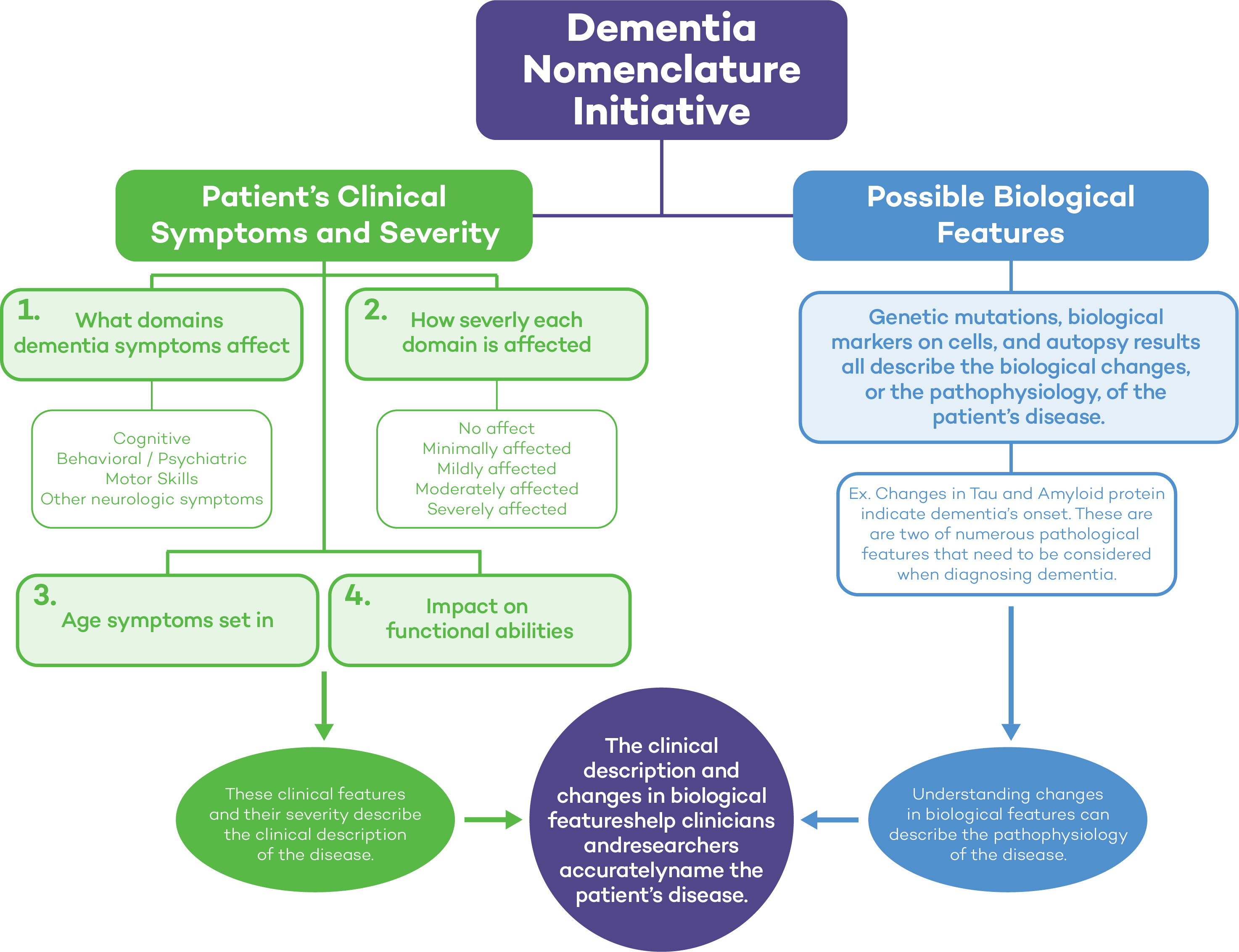 The Dementia Nomenclature Initiative published a framework on Oct. 16, 2023 to divide dementia-related diseases’ clinical symptoms and biology into two separate categories. The team created a flowchart for standardizing diagnosis through initial findings from three focus groups, patients, clinicians and researchers, according to the study. (Image provided by Dementia Nomenclature Initiative)