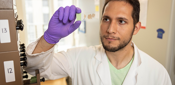 Photo of scientist holding research slide