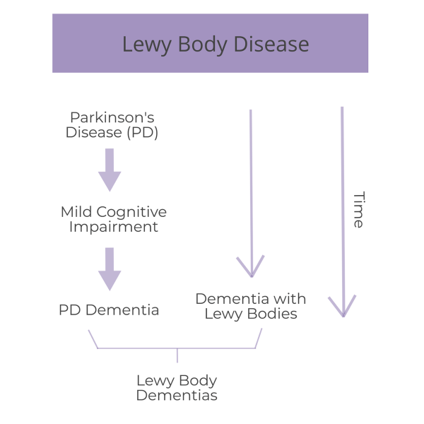 current research on dementia with lewy bodies